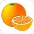 柑橘阅读免费版 图标