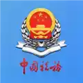 中国新疆税务app 图标