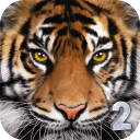 终极老虎模拟器2手机版 图标